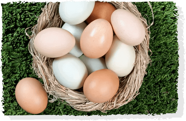 Imagem de uma cesta cheia de ovos